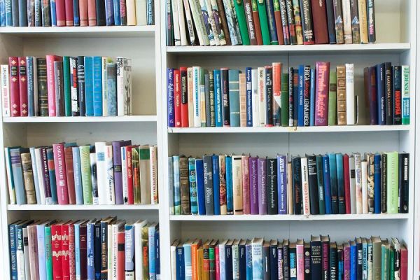 Bücherregal 
